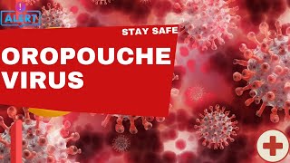 Oropouche Virus The Silent Threat Spreading Across the Globe [upl. by Haliehs]