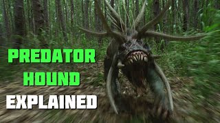 What are Predator Hounds Predators Explained [upl. by Pebrook]