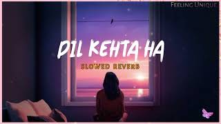 Dil Kehta Hai Slowed Reverb  Feeling Unique  Female Version  Akele Hum Akele Tum  New Hindi Lofi [upl. by Tyika]