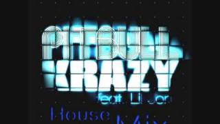 PiTBuLL Krazy House Remix 09 [upl. by Oralle34]