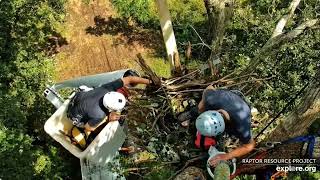 Decorah North Nest Rebuild [upl. by Cathleen]