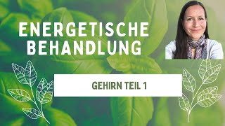 Das Gehirn Teil 1 energetisch behandeln [upl. by Aneehsram]