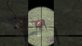 Bullet Time In A Hunting Game cabelas outdooradventures ps3 stream bullettime [upl. by Drusi845]