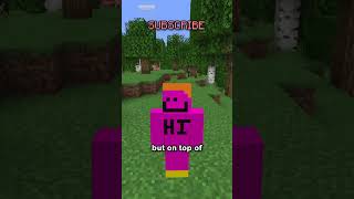 Minecraft But I Have To Lie [upl. by Naillimixam]