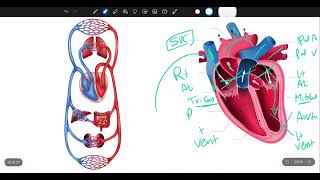 Symptomatology in Pediatrics [upl. by Romina]