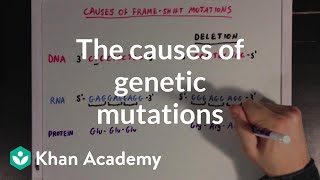 The causes of genetic mutations  Biomolecules  MCAT  Khan Academy [upl. by Marty]