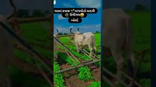 ખેડુત પુત્ર 🌱🌱shortvideo sotsfeed [upl. by Eissirhc702]