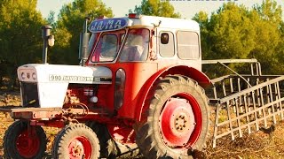 Sarmentando con David Brown 990 GoPro Hero3 HD Jovenes Agricultores [upl. by Aehr811]