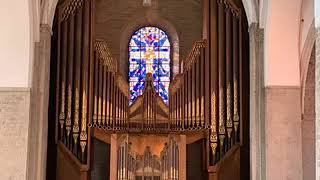 Tanztoccata 1970 Anton Heiller Ko Zwanenburg Nicolaïkerk Utrecht [upl. by Bloxberg966]