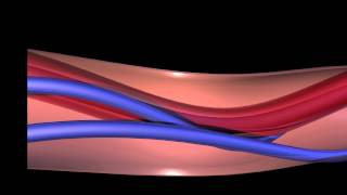 Physiology of FHR Decelerations [upl. by Fretwell]