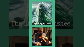 Lilting Banshee fiddle celtic [upl. by Congdon140]