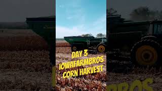 Day 3 iowafarmbros corn harvest corn youtubeshorts farming [upl. by Marcellus]