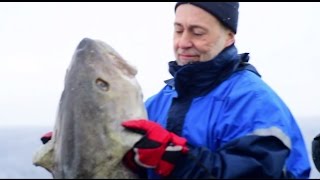 Skrei Norway’s jewel of the sea [upl. by Aniger]