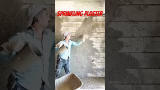 Sprinkling plaster construction civilengineering youtubeshorts shorts viral [upl. by Ellecrag]