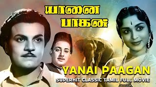 Yanai Paagan  Tamil Superhit Classic Movie  M G Ramachandran Saroja Devi MAThirumugam [upl. by Cynth]