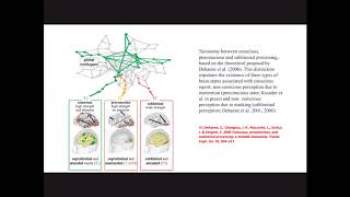 Video Lecture 18 2׃ Consciousness 3 Ignition in the Global Workspace Full HD 1080p [upl. by Cope]