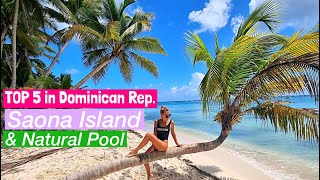 Saona Island Tour All Inclusive Speedboat and Catamaran TOP5 Excursions in Dominican Rep [upl. by Oirrad]