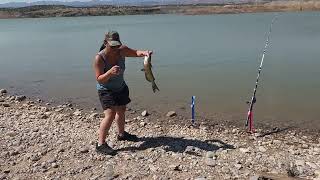 Watch me catch a catfish at Cochiti Lake fish WildhookAdventures deadpool [upl. by Ayram126]