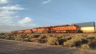 WB BNSF BaretablesDomestic Intermodal Train At Hodge Ca bigbossrailfanner [upl. by Allison]