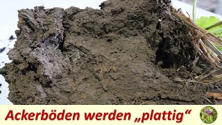 Ackerböden lagern dicht und werden quotplattigquot [upl. by Cad]