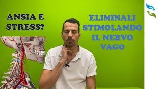 Ansia e stress 4 tecniche di stimolazione del nervo VAGO [upl. by Amapuna]