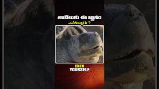 తాబేలుకు ఈ జ్ఞానం ఎవరిచ్చారు  Maitreya Channel [upl. by Falito]