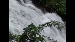 Waterfalls of Monsoon Season Beautiful Waterfall Near Kukke Subramanya Road [upl. by Einohpets690]