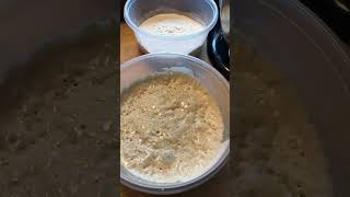 How To make the Poolish dough￼ [upl. by Ilhsa]