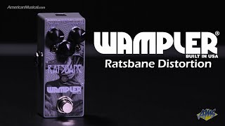 Wampler Ratsbane Distortion Pedal  AmericanMusicalcom [upl. by Maleki]