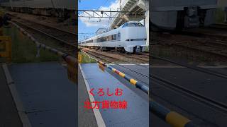 KUROSHIO japanrailway japaneseexpress japaneserailway train japanrail [upl. by Schmitz]