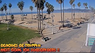 Venice Beach Webcam  Venice Beach Live Cam  venice beach live boardwalk cam [upl. by Naitirb]