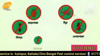 Azimpur bottala Dhakatermite cockroach control service BD [upl. by Tare]