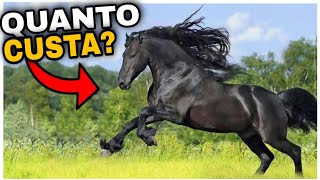 7 Cavalos mais Caros do Mundo [upl. by Eneleoj]