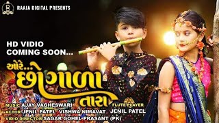 Ore Chogada tara  Jenil Patel  Flute Cover  Loveyatri  Dandiya Song  Bansuri Song  Hd Video [upl. by Itoc]