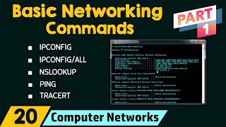 Basic Networking Commands Part 1 [upl. by Eachern448]