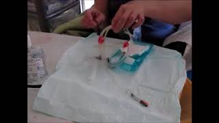 Setting up of dialysis table amp needle insertion [upl. by Ardnuyek930]