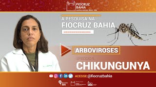 Chikungunya  Pesquisa na Fiocruz Bahia [upl. by Teik]