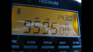 Weak UNID on 9595 kHz Radio Nikkei presumed [upl. by Einuj325]