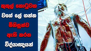 quotබ්ලේඩ් ට්‍රිනිටිquot සිංහල Movie Review  Ending Explained Sinhala  Sinhala Movie [upl. by Rebmac563]