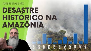 ÍNDICE de DEVASTAÇÃO da AMAZÔNIA atinge RECORD HISTÓRICO em 2024 com DESCASO e HIPOCRISIA de LULA [upl. by Assenad989]