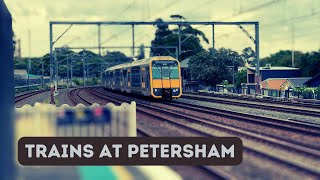 Sydney Trains Mania Trains at Petersham [upl. by Sefton]