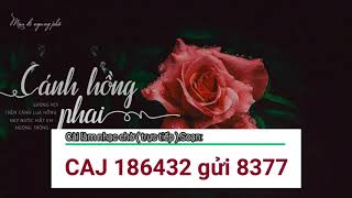 Nhạc chờ Cánh Hồng Phai  Trấn Thành Viettel Mobifone Vietnammobile [upl. by Jamesy]