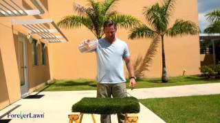 K9Grass Drainage Demonstration by Jason Cameron [upl. by Nojram133]