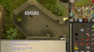 RuneScape  PreEOC  Recipe for Disaster  Pt 9  Monkey Ambassador [upl. by Hgiel]