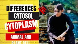 Difference between cytosol and cytoplasm and differences between animal and plant cell [upl. by Edythe]