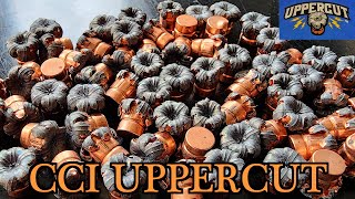 CCI UPPERCUT  THE BEST 22LR SELFDEFENSE AMMO EVER MADE [upl. by Aehr]