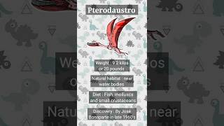 Pterodaustro।। Dinosaurs in a nutshell shorts dinosaur pterodaustro fossils extinction [upl. by Sherj]