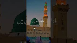 Yadon ki jamanat hai Islamic videocneᴅɪᴛᴢ trending audio video viralunfrezzmyaccount 🇵🇰🇵🇰🇵🇰🇵🇰💪💪 [upl. by Xella]