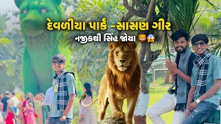 નજીકથી સિંહ જોયા 🦁😱  દેવળીયા પાર્ક સાસણ ગીર  devaliya park sasan gir  pattuu Vlog [upl. by Ogawa]