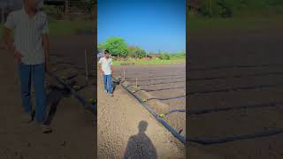 Ambal ki teyari coming afim khetibadi farming trending viralvideo youtubeshorts [upl. by Latsirk]